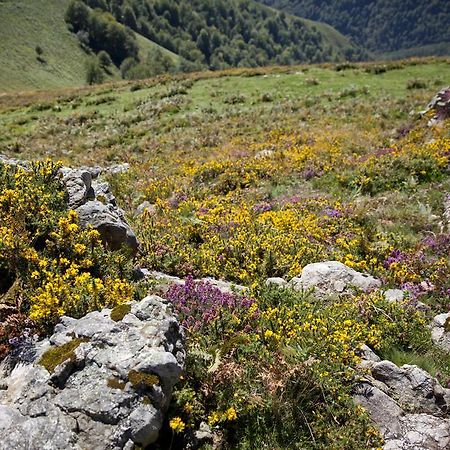 Chambres D'Hotes Etche Lacarry-Arhan-Charritte-de-Haut Dış mekan fotoğraf